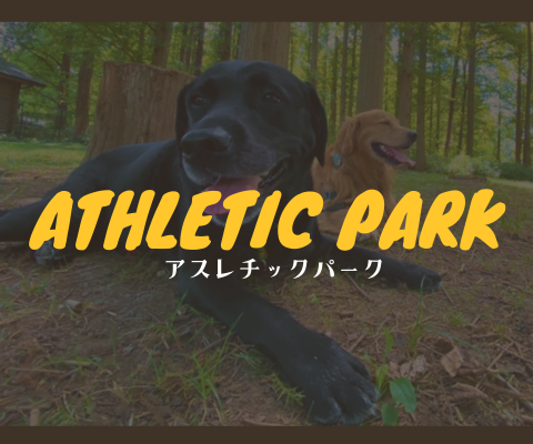 アスレチックパーク｜PAWTOPIA（パウトピア）｜愛犬と楽しむドッグラン・カフェ・アスレチック