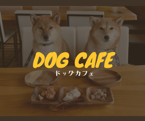 ドッグカフェ｜PAWTOPIA（パウトピア）｜愛犬と楽しむドッグラン・カフェ・アスレチック